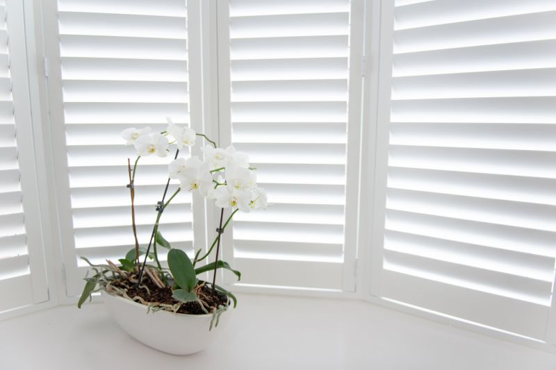 Shutters Installation in Denver County, CO